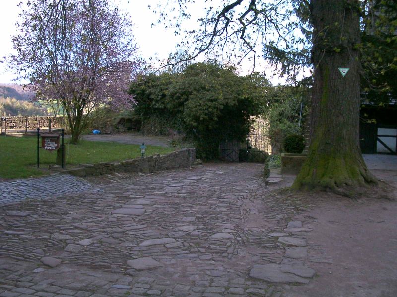 Trendelburg