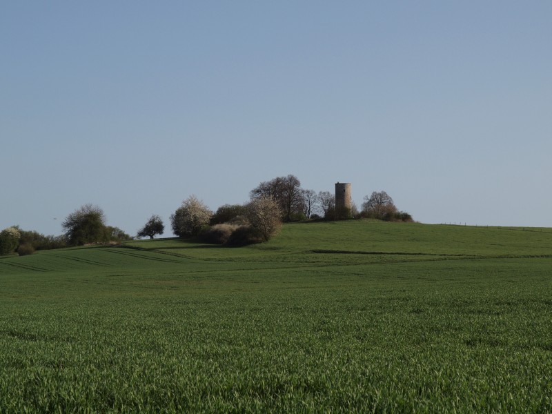 Wartturm Grnberg