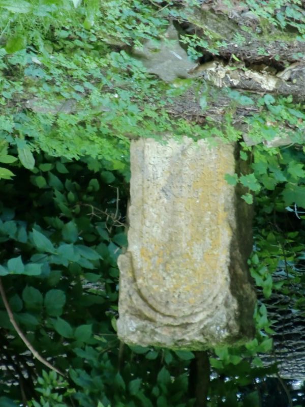Wasserburg Rhena