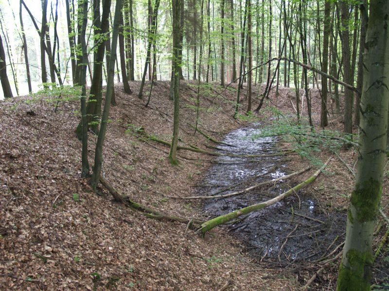 Vorschaubild Ansicht Wstung Rderburg (Titelfoto)