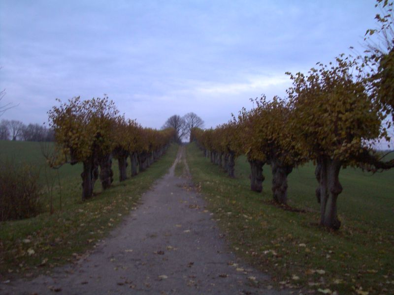 Schloss Bothmer Kltz