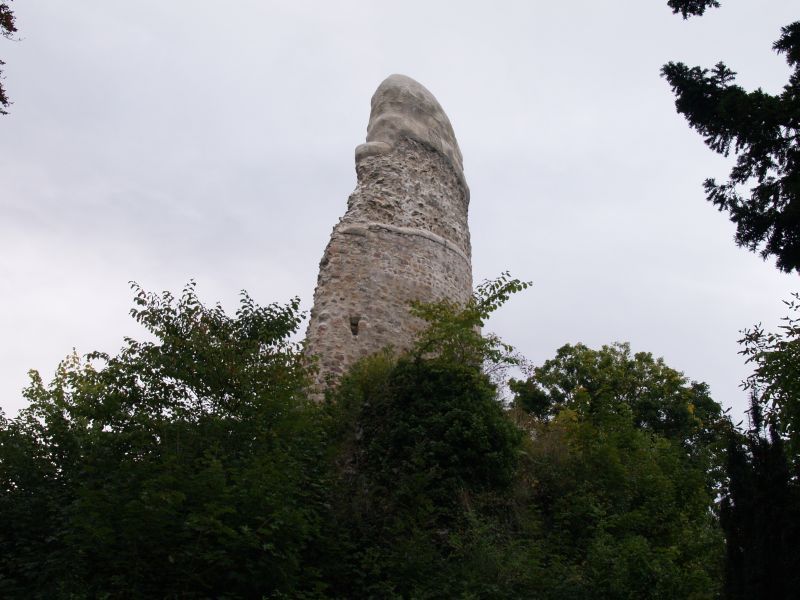 Alte Burg Osterode