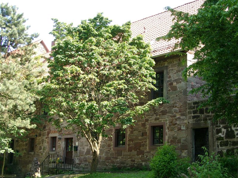 Burg Hardeg