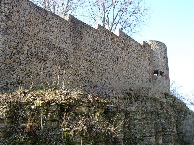 Burg Plesse