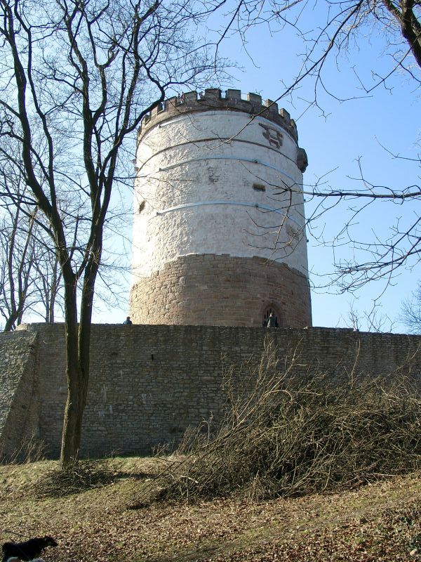 Burg Plesse