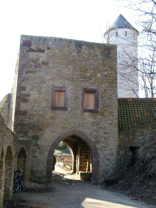 Burg Plesse