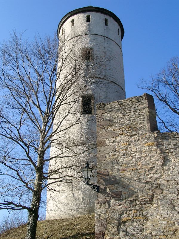 Burg Plesse