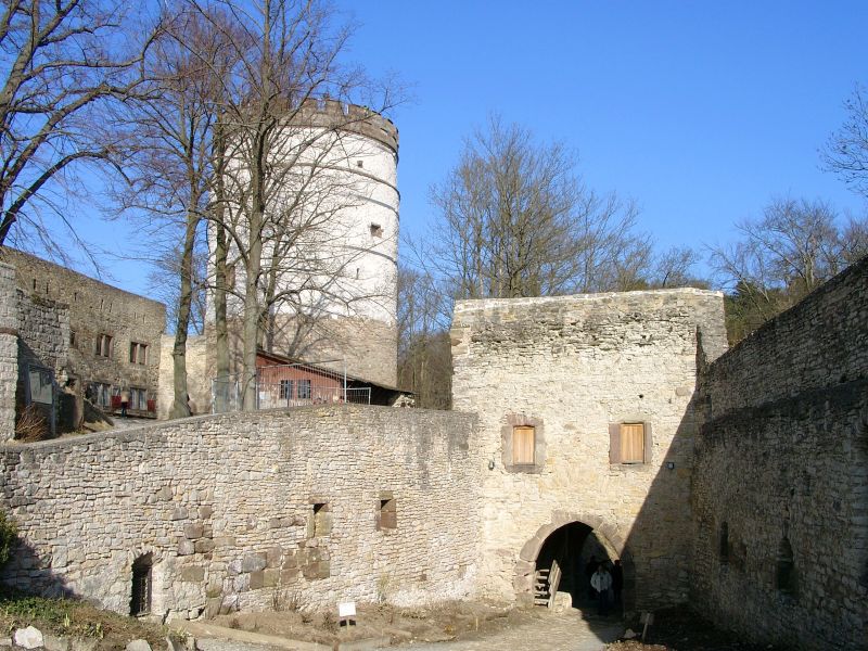 Burg Plesse