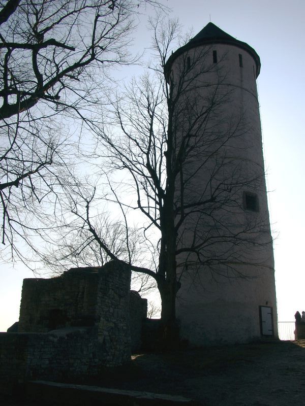 Burg Plesse