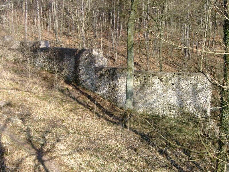 Burg Plesse