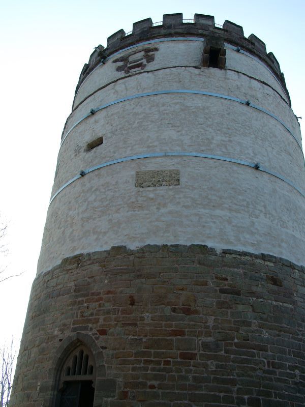 Burg Plesse