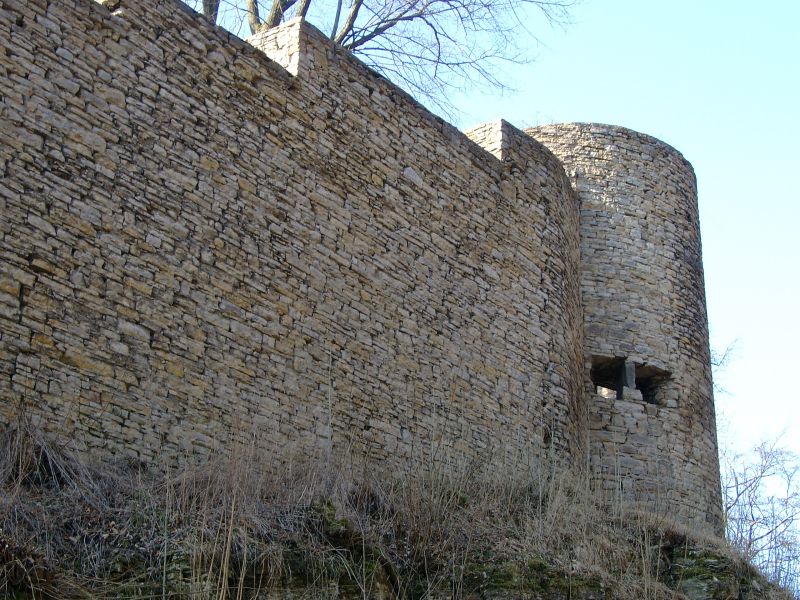 Burg Plesse