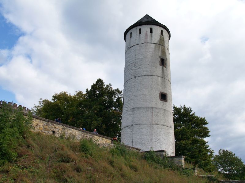 Burg Plesse