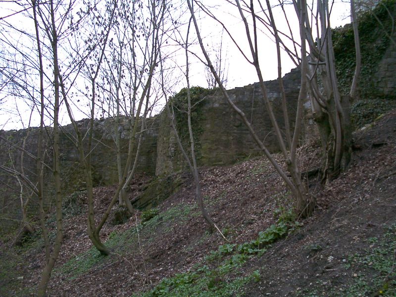 Burg Polle