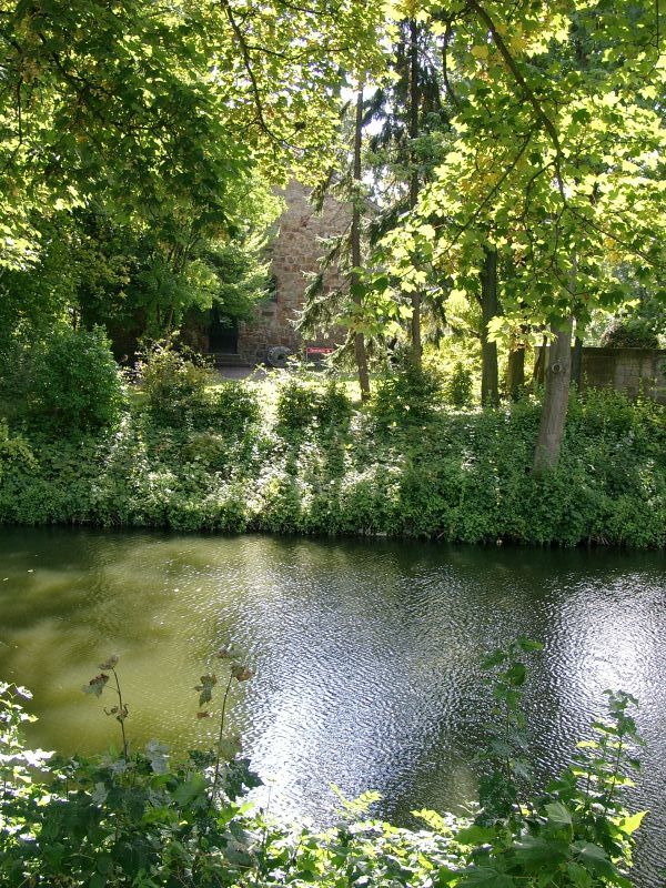 Burg Rodenberg