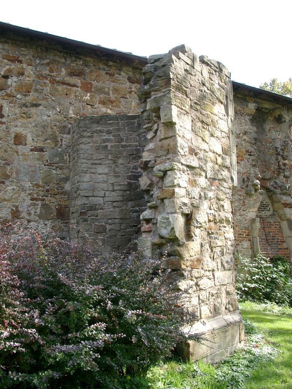 Burg Rodenberg