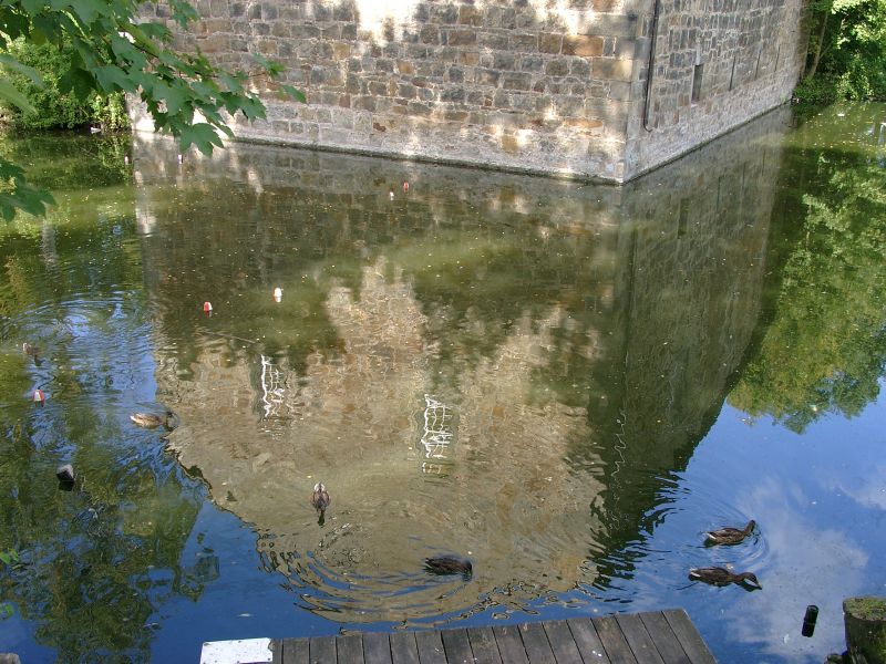 Burg Rodenberg