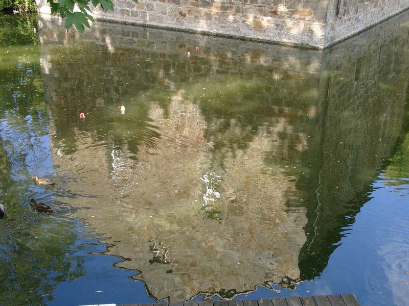 Burg Rodenberg