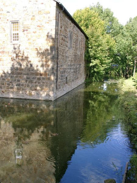 Burg Rodenberg
