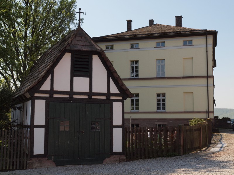 Gut Amelungsborn