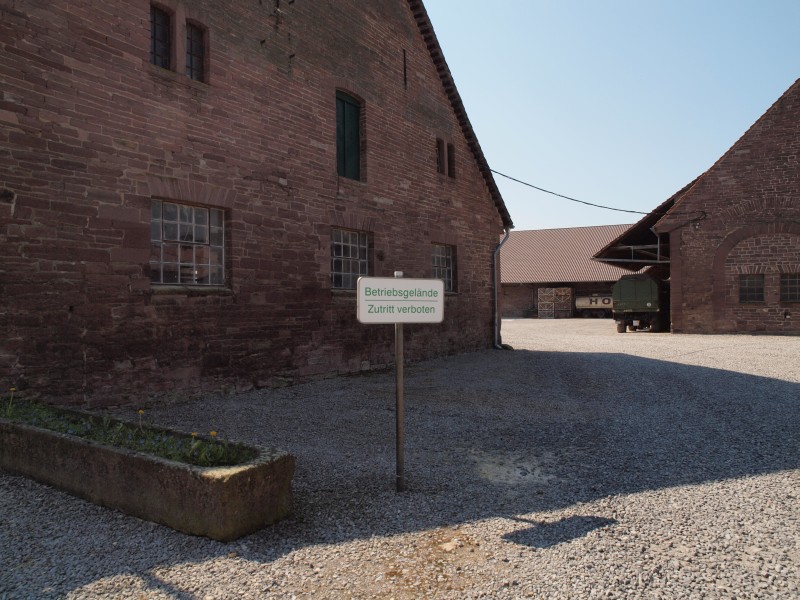 Gut Amelungsborn