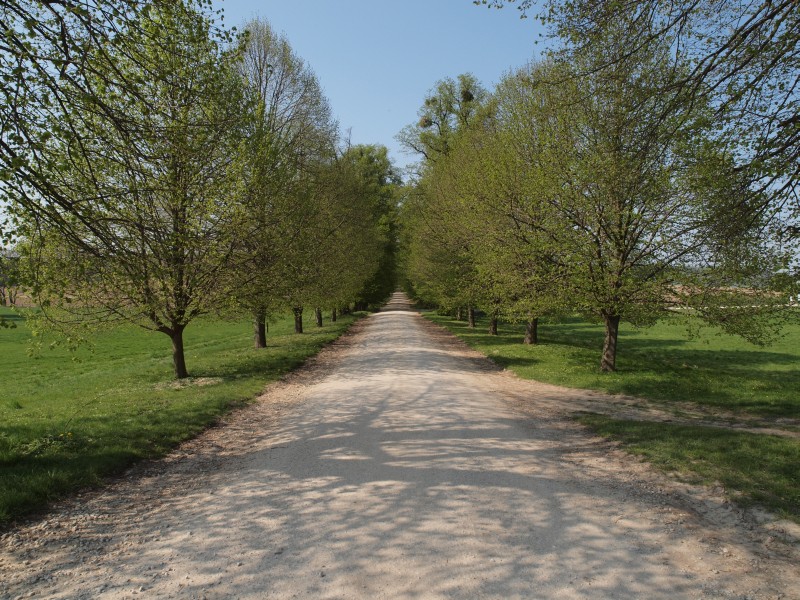 Schloss Sder