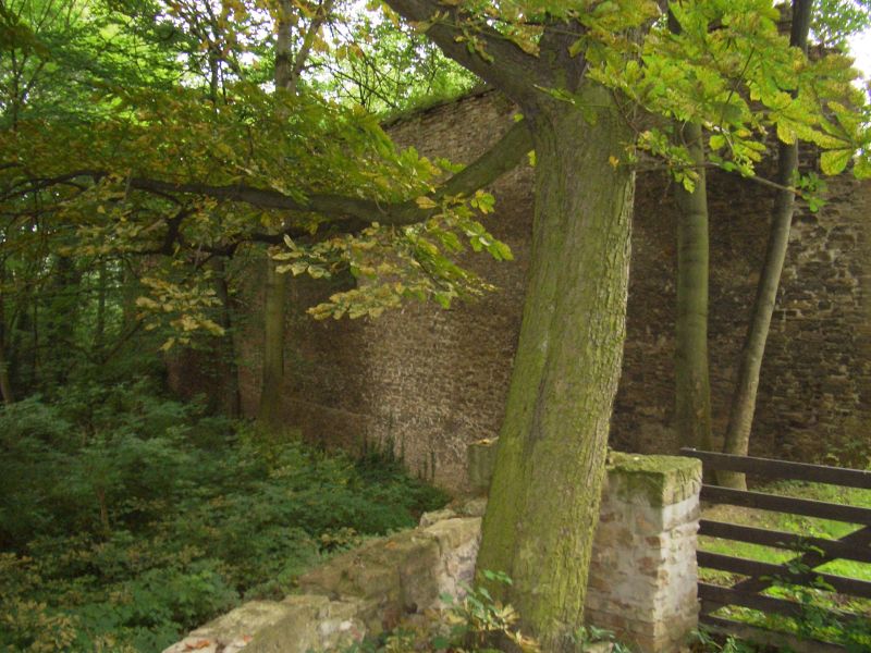 Vienenburg