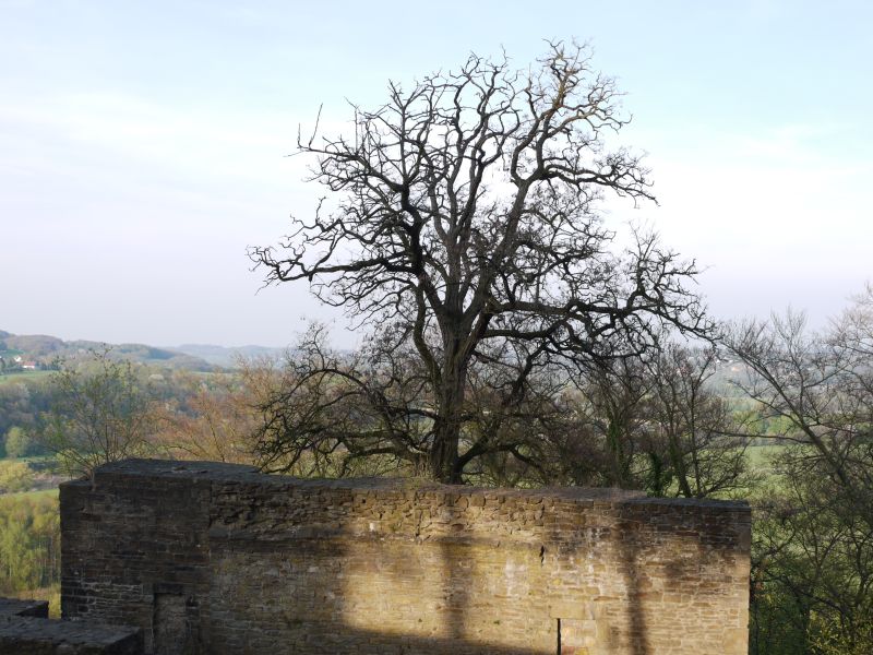 Burg Blankenstein