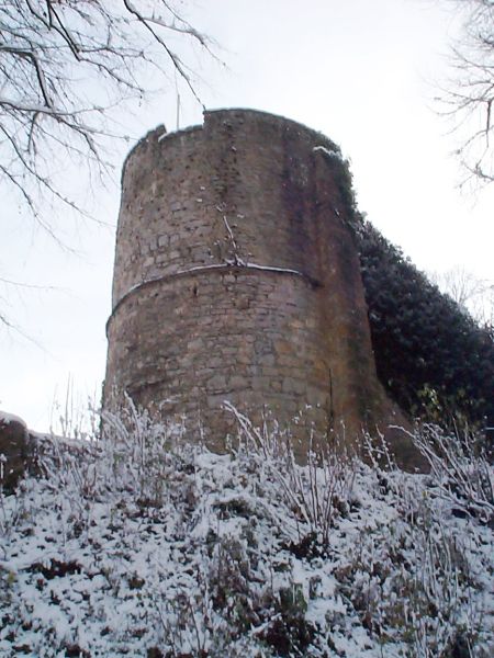 Burg Dringenberg
