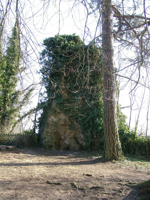 Burg Ravensberg