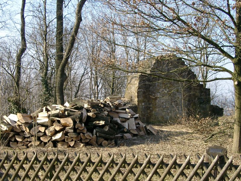 Burg Ravensberg