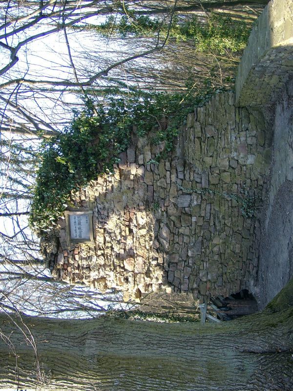 Burg Vlotho