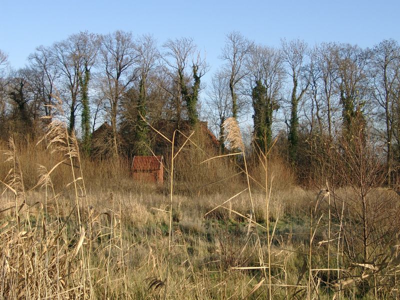 Ellerburg