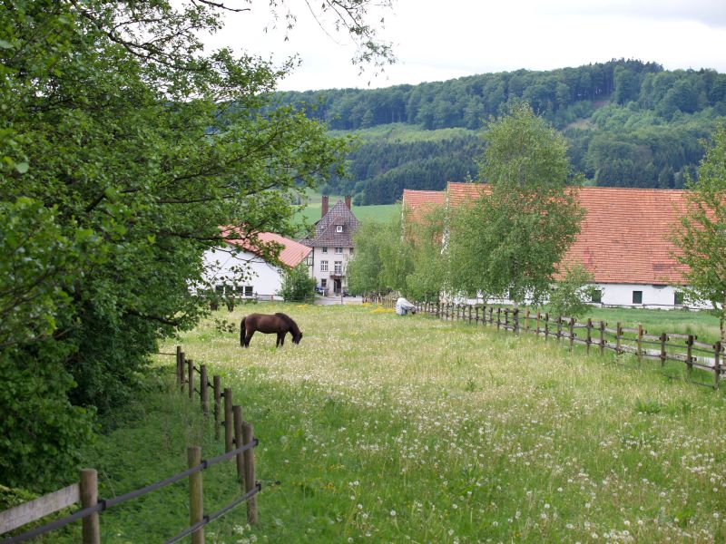 Gut Wertheim