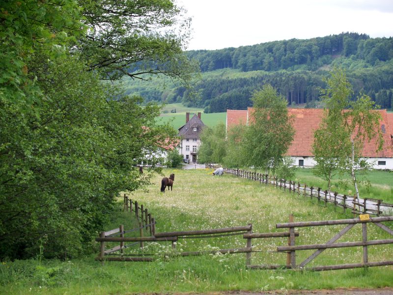 Gut Wertheim