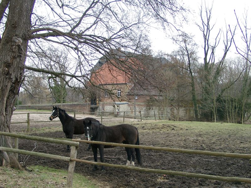 Haus Geist