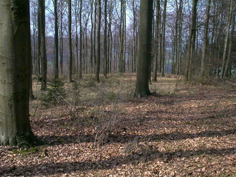 Herlingsburg
