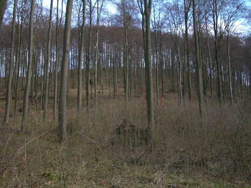 Herlingsburg