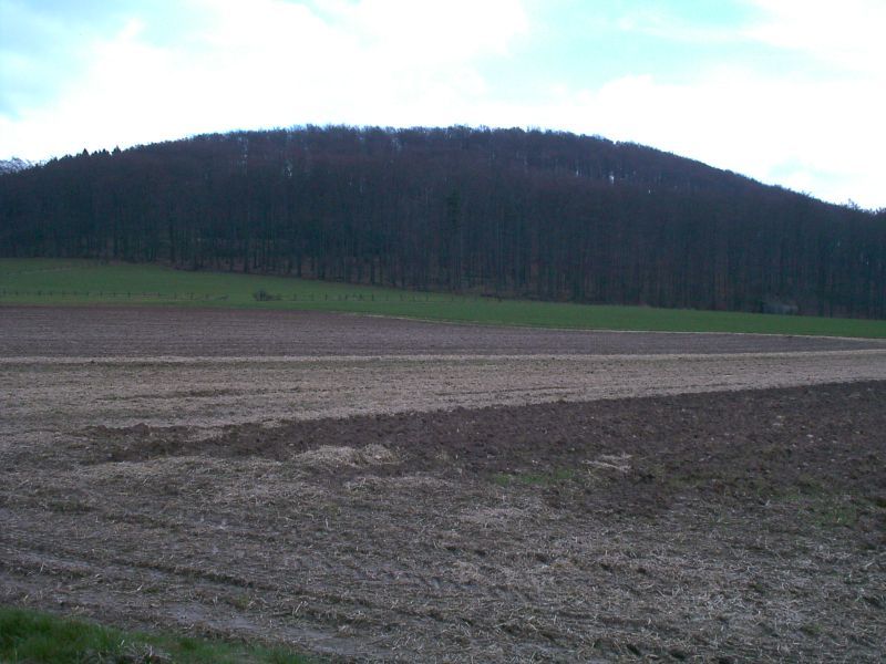 Herlingsburg