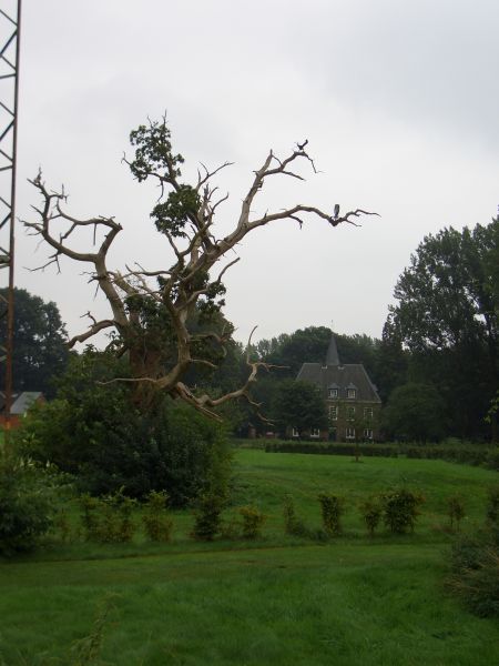 Schlsschen Borghees