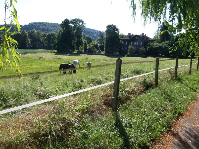 Schloss Maygadessen