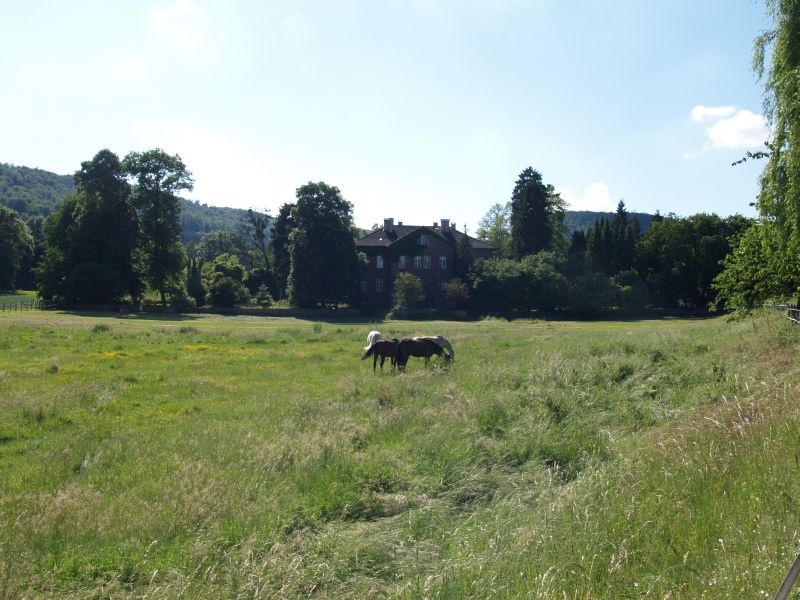 Schloss Maygadessen