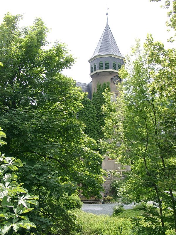 Schloss Wildenberg