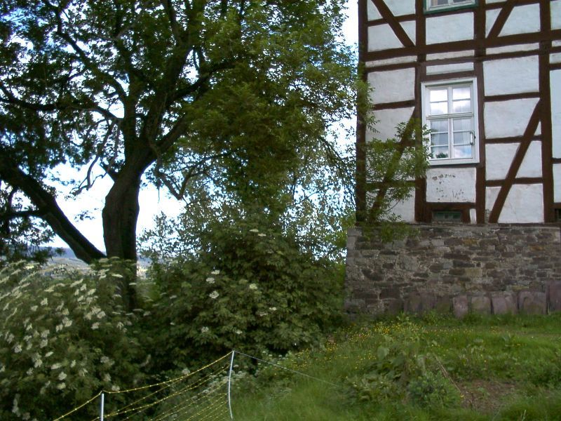 Burg Tonenburg