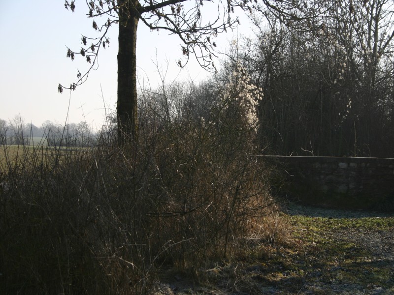 Warte Lugdal