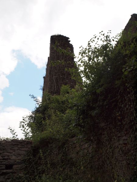 Burg Are