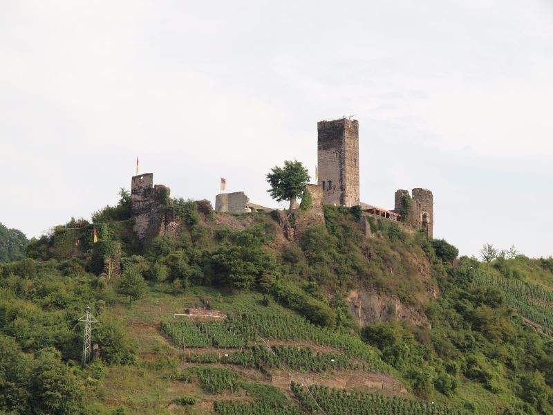 Burg Metternich