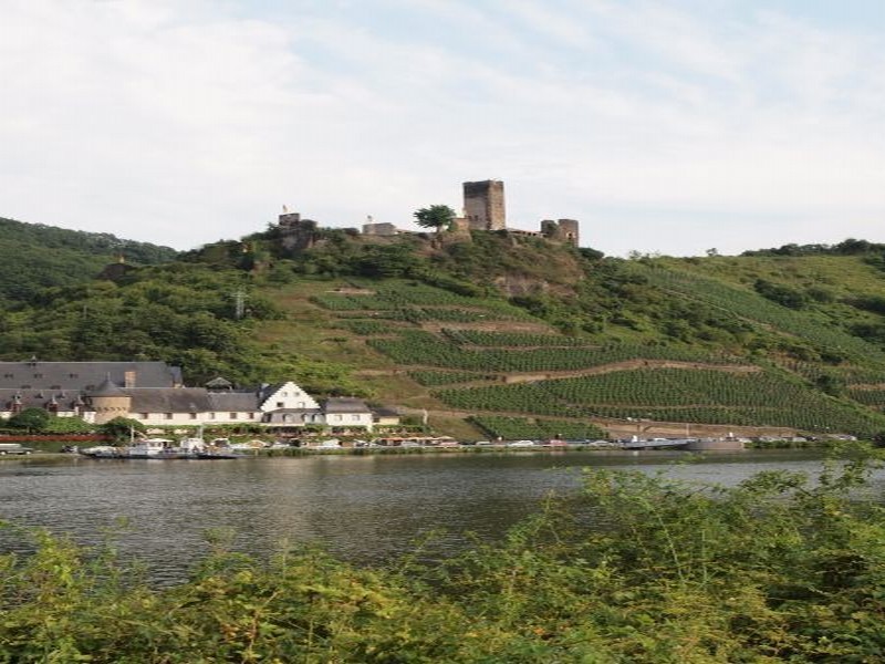 Burg Metternich
