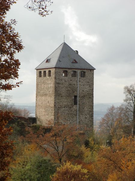 Burg Sayn