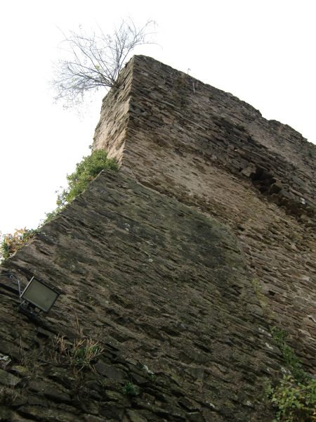 Burg Sayn